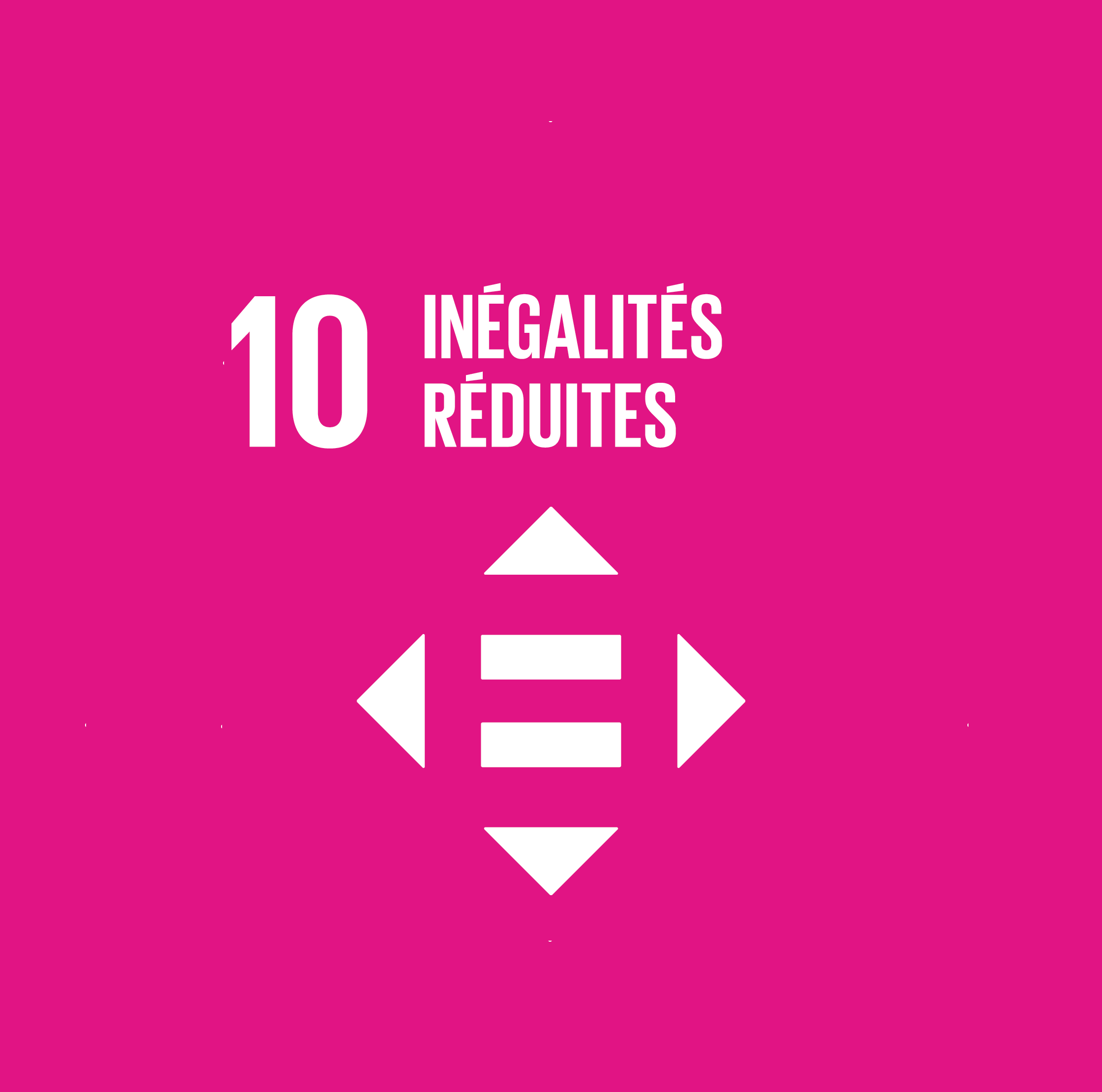 ODD 10 : Réduire les inégalités dans les pays